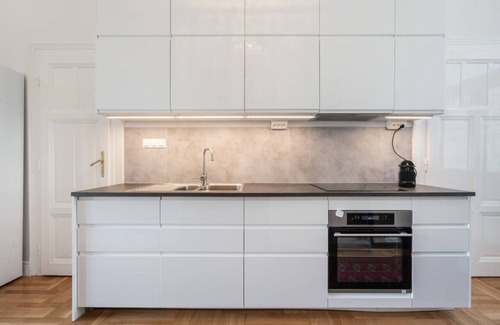 Nepszinhaz negyed Apartamento | Classical apartment with a modern touch!