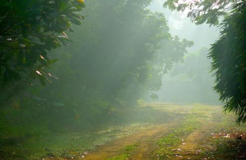 Irinjalakuda Casa | Clayfingers Art Cottage