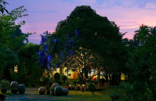 Irinjalakuda Casa | Clayfingers Art Cottage