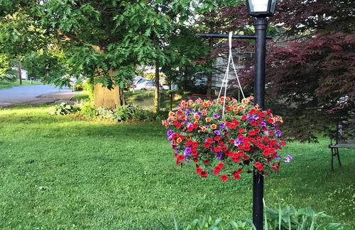 Boalsburg Casa | 4-bedroom house in tranquil Boalsburg: Quiet, Calm, Clean, and Close to Campus