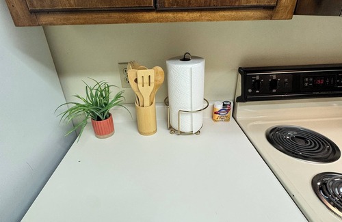 Pendleton Apartamento | Clemson GAME DAY & Tailgates + Lake Life – 2BR Townhome Stay