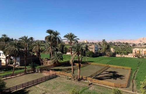 Luxor Hotel | Cleopatra Hotel Luxor
