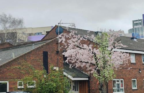 Canning Town Cama Y Desayuno | Clifton House O2 & Excel Rooms with private bathroom and Breakfast option