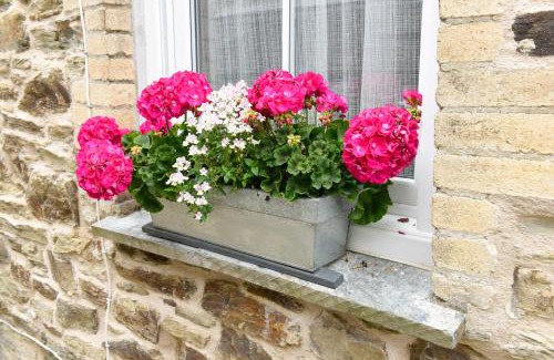 Truro Cama Y Desayuno | Cliftons Guest House