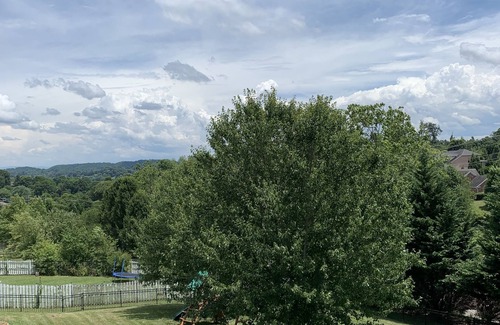 Johnson City Apartamento | Close to Brights zoo, close to Jonesborough and Bristol Race, Freedom Hall