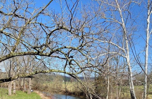Mattawana Casa | Close to Penn State and Raystown Lake, beautiful quiet country setting.