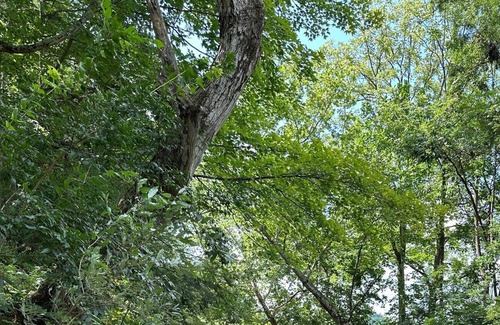 Mattawana Casa | Close to Penn State and Raystown Lake, beautiful quiet country setting.
