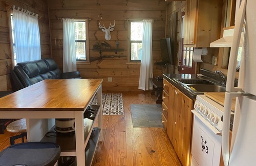 Franklin Cabina | Close to town, easy to get to, internet, cell reception - Flying Pig Cabin