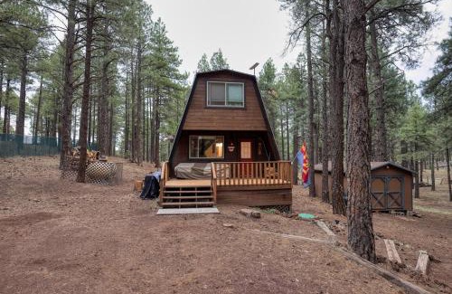 Williams Casa | Close to Williams, Flagstaff, Grand Canyon and Sedona