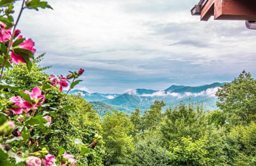 Sylva Casa | Cloud 10 Mountaintop
