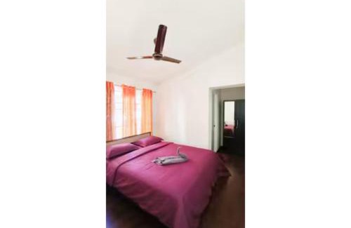 Masinagudi Villa | Cloud 9- Heaven on earth