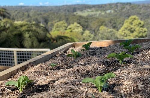 Menzies Creek Cama Y Desayuno | Cloud View Garden