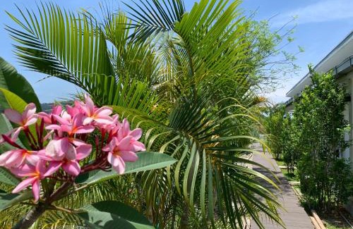 Chenek Kura Casa | Cloud9 Holiday Cottages