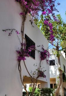 Cala Llenya Hotel | Club Cala Azul