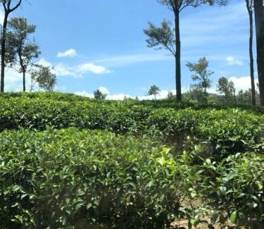 Bandarawela Hotel | Club Doonvale