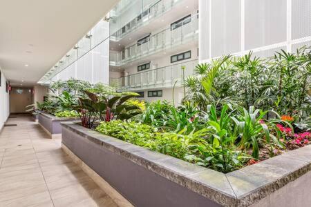 Dee Why Apartamento | Coastal 2-Bed Apartment near Beach