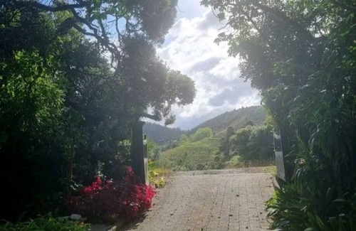 Whananaki North Casa | Coastal Bach with beautiful views and nearby beaches!