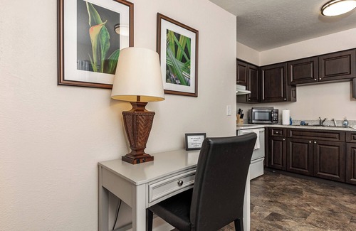 Tarpon Springs Apartamento | Playas costeras, puestas de sol y mariscos, ¡Dios mío!