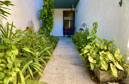 North Beach Casa | Coastal Garden Retreat: Close to beaches!