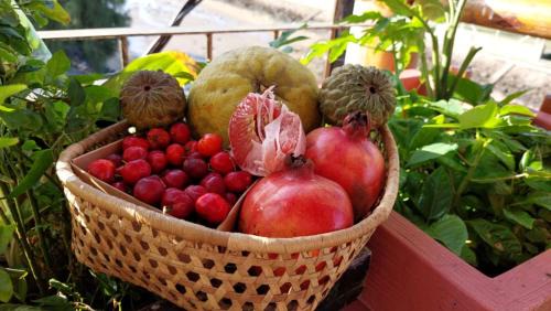Port Mathurin Cama Y Desayuno | Coastal lodge
