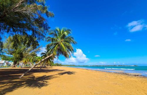 Zarzal Apartamento | Coastal Puerto Rican Apartment - Walk to Beach!