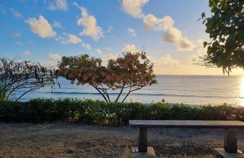 Atlantic Shores Apartamento | Coastal View7 # 2 Apt
