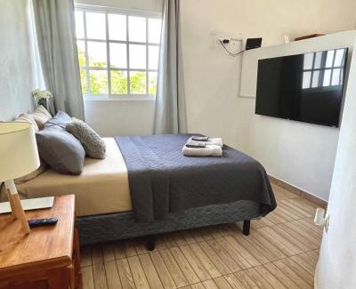 Colonia Centro Apartamento | Coco apartamento centrico