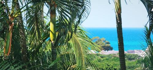 Bas Vent Apartamento | Coco Carïb - Cabane vue Mer & Massages