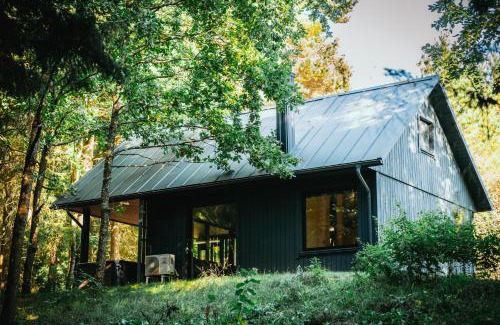 Renavas Casa | Cocodeno-'Virš Ąžuolų' - Forest SPA - FREE jacuzzi