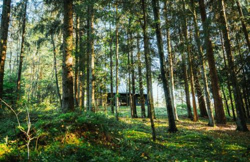 Renavas Casa | Cocodeno-'Virš Ąžuolų' - Forest SPA - FREE jacuzzi