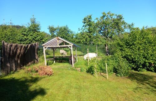 Sainte-Marie-aux-Mines Apartamento | Cocon de St Pierre
