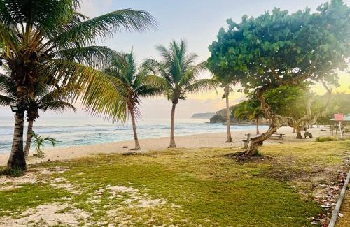 Anse-Bertrand Casa | Cocon des îles