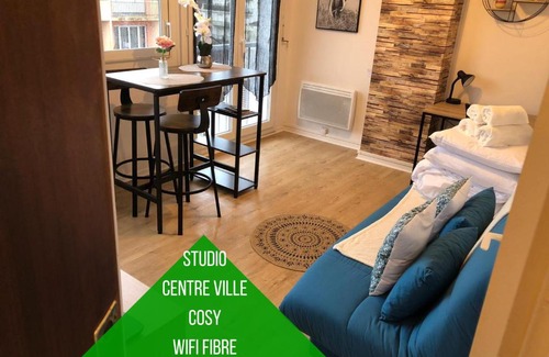 Centre Ville Apartamento | Cocon Palois studio cosy dernier étage WIFI Fibre