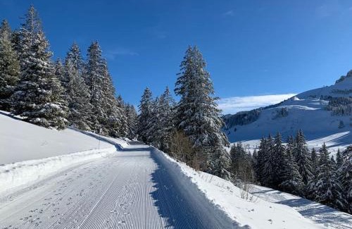 Thollon-les-Memises Apartamento | Cocon Savoyard à Thollon les Mémises