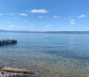Thollon-les-Memises Apartamento | Cocon Savoyard à Thollon les Mémises