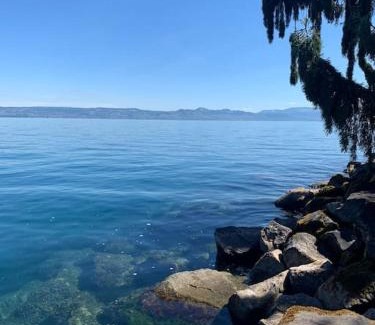 Thollon-les-Memises Apartamento | Cocon Savoyard à Thollon les Mémises