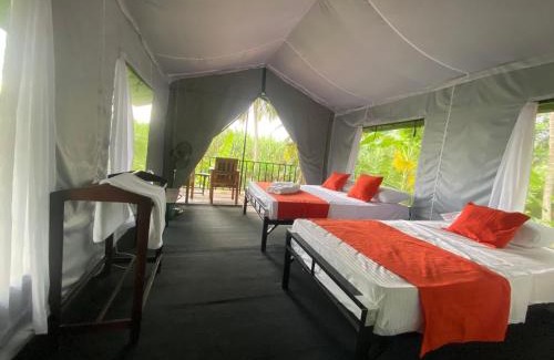 Sevanagala Otro | coconut camp udawalawe