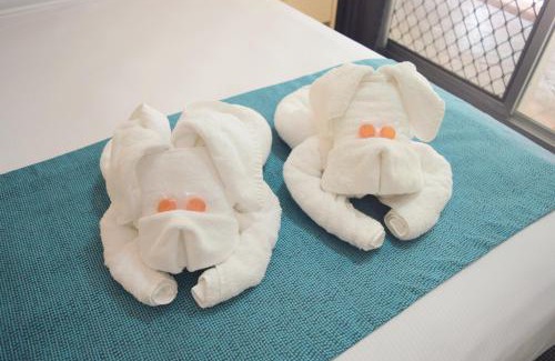 Coconut Grove Apartamento | Coconut Grove Holiday Apartments