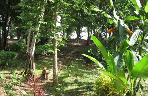 Dominical Cabaña | Coconut Grove Oceanfront Cottages Playa Domincalito