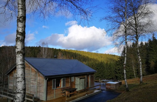 Buellingen Chalet De Esquí | Capullo en medio de la naturaleza