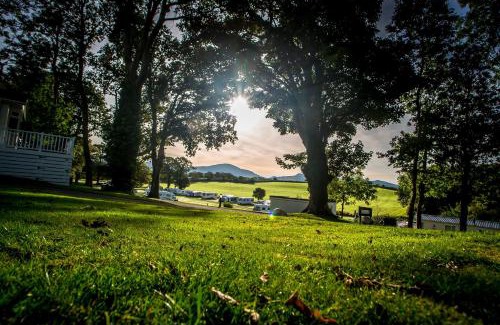 Bont Newydd Otro | Coed Helen Holiday Park