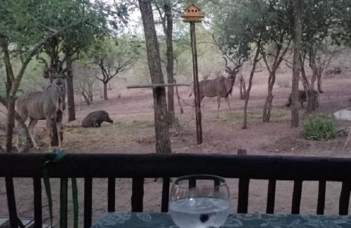 Marloth Park Villa | Coga Cottage - Marloth Park