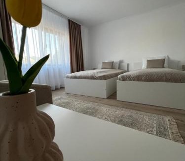 Curatele Casa | Colț de Apuseni