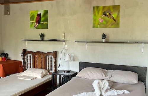 Pavones Cabina | Cabañas Colibrí Tayutic