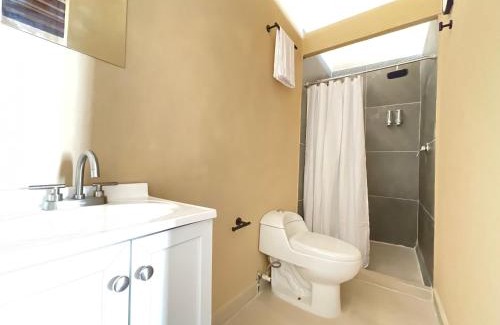 Centro histórico Hotel | Colmena Hotel CDMX Centro