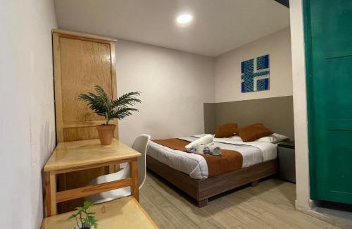 Roma Sur Hotel | Colmena Hotel CDMX Suites Roma