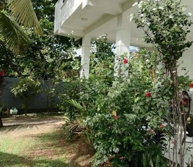 Seeduwa - Katunayake Casa | Colombo Airport Field View Villa