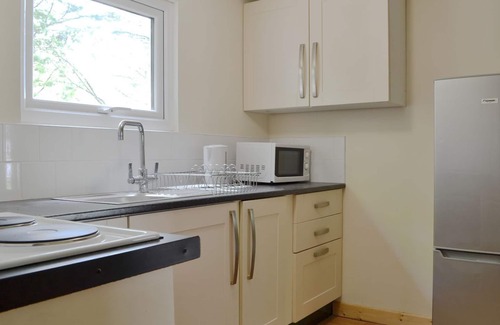 Mawr Cabaña | 1 habitación de alojamiento en Felindre, cerca de Swansea