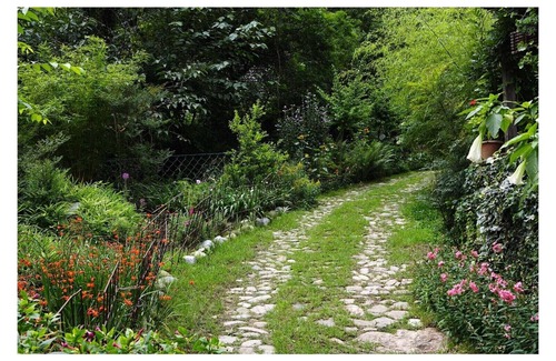 Shyamkhet Complejo | Come experience what is reputed to be the best luxury retreat in the Himalayas!