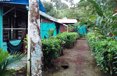 Katira Cama Y Desayuno | Ven y siéntete como en casa con una familia real de Costa Rica!